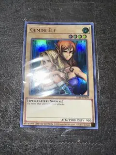 2025年最新】ヂェミナイエルフ 英語の人気アイテム - メルカリ