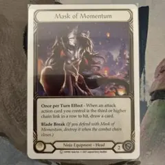 FaB Mask of Momentum