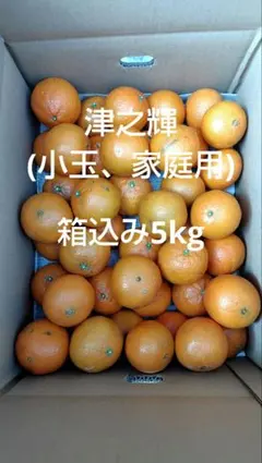 2026年最新】津之輝の人気アイテム - メルカリ