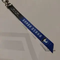 ヴィッセル神戸 第36節ガンバ大阪戦　11月9日 ボンフィンのみ