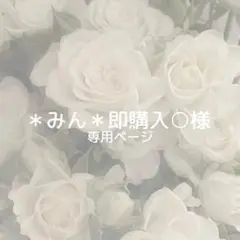 ＊みん＊即購入○様専用ページ