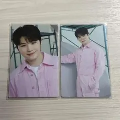 seventeen carat land 2023 ウジ