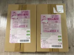 【未開封新品】ポケモンセンターフクオカ・トウホクスペシャルboxセット