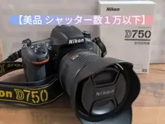 Item thumbnail for item bbcdefbd-541f-4cbf-80bf-604268f3f81a