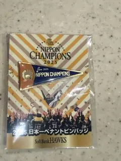 ホークス　ファンクラブ　クラブホークスデー　ピンバッジ①