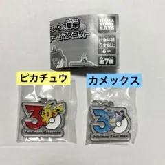 ポケモン　30周年　メタルチャームマスコット　ピカチュウ　カメックス