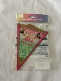東京ディズニーリゾート 40周年 ドリームガーランドのサムネイル