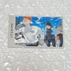 ハイキュー メモリアルコレクション 第2弾 烏野 日向 影山