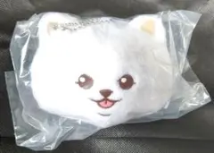 ギヴン　けだまぬい　クリアカード　ポストカード　ビジュアルボード　など ギヴン けだまぬい クリアカード ポストカード ビジュアルボード など