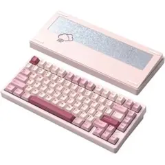 新品未開封Rainy75 Pro シルバー 雪頂ココア軸 メカニカルキーボード