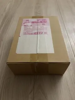 新品未開封】ポケセン産 ニンジャスピナー ダンボール完全未開封