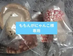 いきもん キノコ LEDライト コレクション 2種