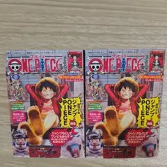 ワンピース マガジン 第20号 ルフィ プロモ カード付　2セット