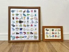 大図鑑！海の生き物56種類！シーグラスアート⭐︎ギフト　プレゼント インテリア