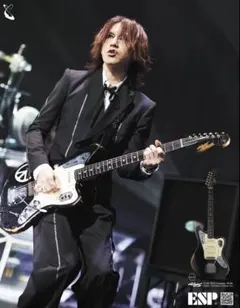 Rivolta Fano XVII エレキギター レリックあり 常田大 - メルカリ