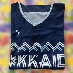 北海道日本ハムファイターズ WE LOVE HOKKAIDO 配布ユニフォーム