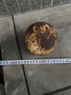 陸上競技 砲丸投 砲丸 鉄製