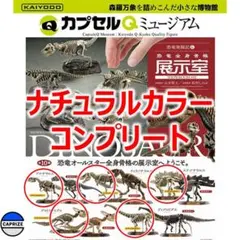 【ナチュラルカラー コンプリート】恐竜発掘記6 恐竜全身骨格展示室 ガチャ152