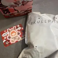 SKULLPANDA winter symphony Wanderer's