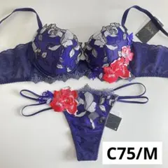 2025年最新】サルート56の人気アイテム - メルカリ