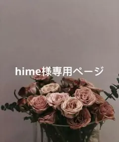 hime様専用ページ