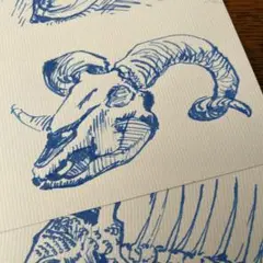 妻の描いた絵　青いインク　自画像　山羊　鯛　骨