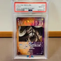 2026年最新】カイドウ sp psa10の人気アイテム - メルカリ