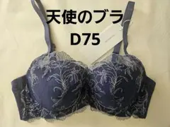 25w056 トリンプ　ブラジャー　天使のブラ　スリムライン d75のサムネイル