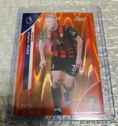 Item thumbnail for item c0d08789-25fa-497d-acd8-1482b0371a6b