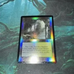 新緑の地下墓地　Verdant Cataconbs 旧枠　foil