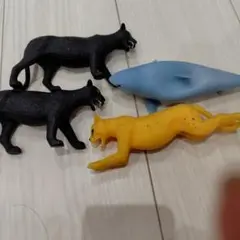 即日配送！　アンドコ　セット