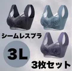 ノンワイヤー レースブラ 大きいサイズ 美胸 3L XXXLまとめ売り セット