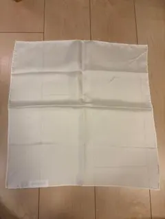 Item thumbnail for item 7bfc67b5-aa4b-43b9-bc1a-b662dba0057a