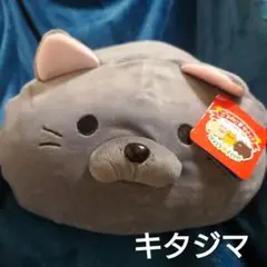 ラウンドワン限定新品パステルごろねこサミットぬいぐるみのびるよにゃもちだるいぬ団 Amazon.co.jp: ごろねこサミット のびるよにゃもち 3種セット