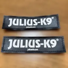 JULIUS K9 交換用ラベル 2枚セット　（2)のサムネイル
