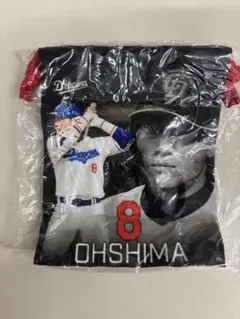 中日ドラゴンズ　ガチャ　大島選手　巾着