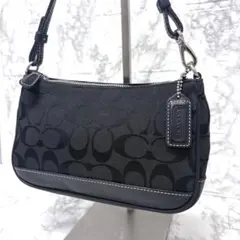 COACH コーチ アクセサリーポーチ ワンショルダーバッグ シグネチャー
