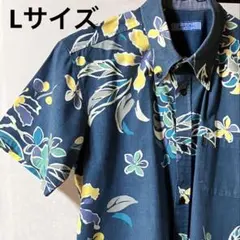 Item thumbnail for item a37ee07b-dc8f-4b2b-877e-76641558d790