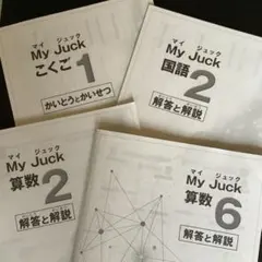 2026年最新】マイジュック 国語の人気アイテム - メルカリ