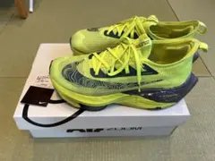 Item thumbnail for item 21082a66-b658-4c0a-bb06-4f639f6a57df