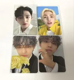 seventeen エスクプス　トレカ