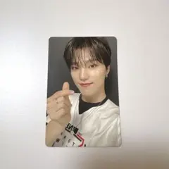 SEVENTEEN セブチ ディノ トレカ 舞い落ちる花びら