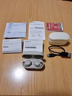 ソニー SONY WF-1000XM4 ワイヤレスイヤホン プラチナシルバー