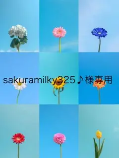 【新品未使用】フォローアップ BOOK 紅号 & 保育士試験 令和7年