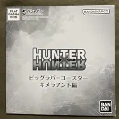 HUNTER x HUNTER ビッグラバーコースター