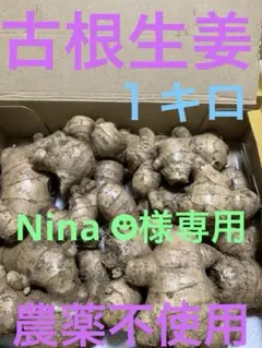 古根生姜　親生姜　農薬不使用　１キロ Nina ☻様専用