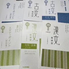 【新品未使用】三訂版 プログレス 古文、漢文総演習 標準編・まとめ売り