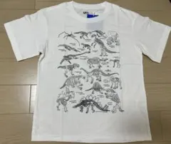 UNIQLO ジェイソン・ポラン UT恐竜 Tシャツ130のサムネイル