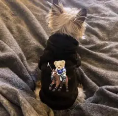 犬用パーカー 黒Mサイズ クマのイラスト付き　約0.9〜1.8キロ用