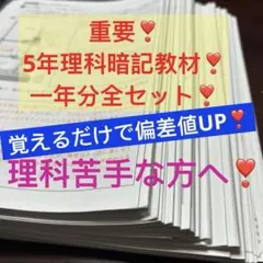 ㉔よ 希少 サピックス SAPIX 5年 国語 ディリーサピックス 一年分
